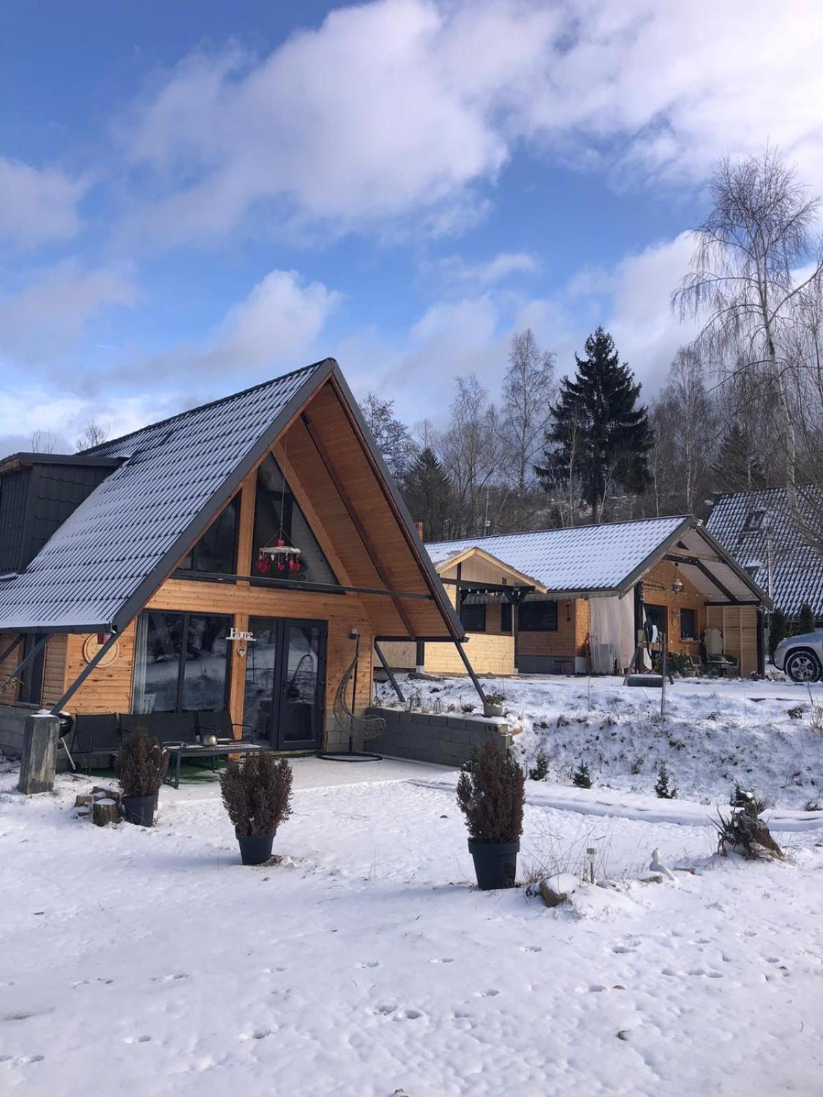 فيلا Acasa Straja - Casa Nordica Lupeni  المظهر الخارجي الصورة